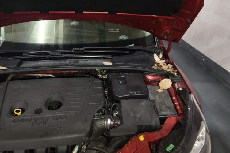 Used Ford Focus 2012 Hatchback 2.0L Automatic Luxury Sport Model Engine Bay Left