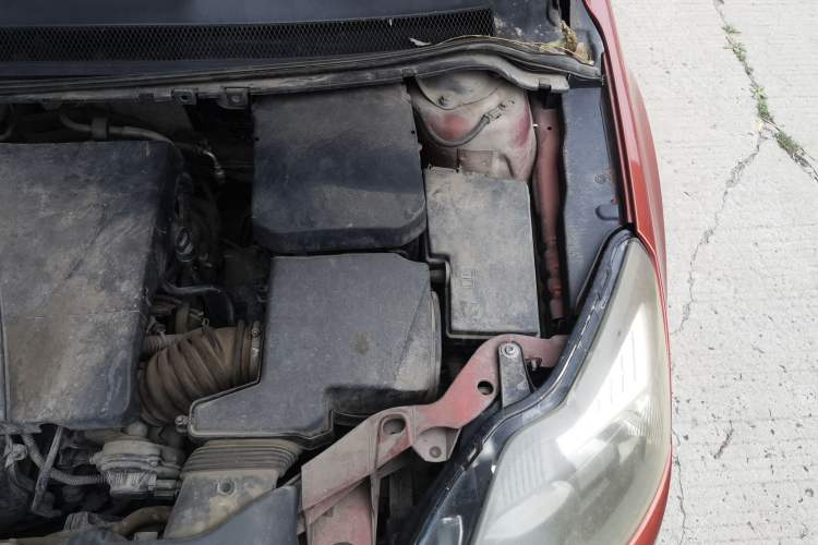 Used Ford Focus 2012 Hatchback Classic 1.8L Automatic Base Model Engine Bay Left