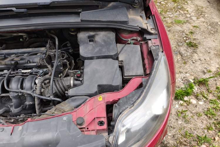 Used Ford Focus 2012 Sedan 1.6L Manual Fashion Edition Engine Bay Left