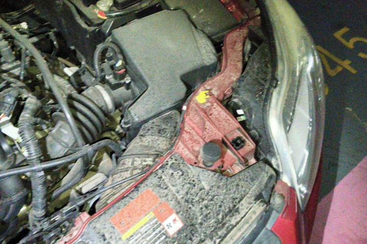 Used Ford Focus 2012 Hatchback 1.6L Automatic Comfort Model Engine Bay Left