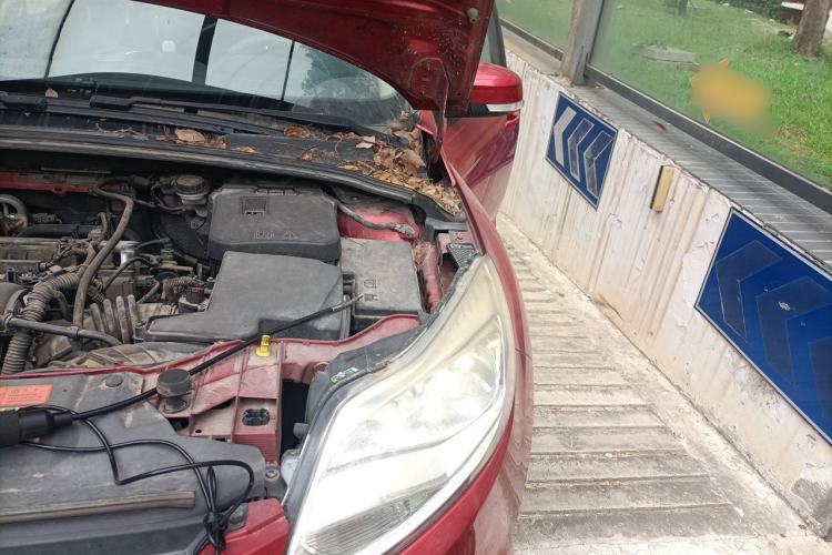 Used Ford Focus 2012 Hatchback 1.6L Automatic Comfort Model Engine Bay Left