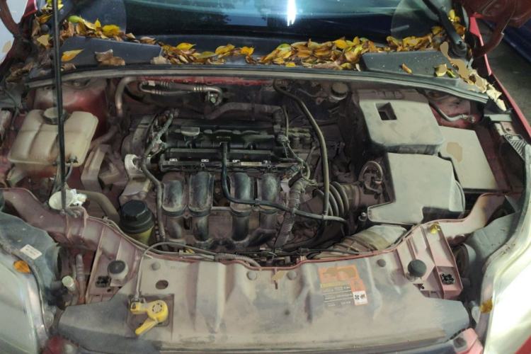 Used Ford Focus 2012 Sedan 1.6L Automatic Fashion Edition Engine Bay