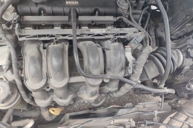 Used Ford Focus 2012 Hatchback 1.6L Automatic Fashion Edition Engine Bay