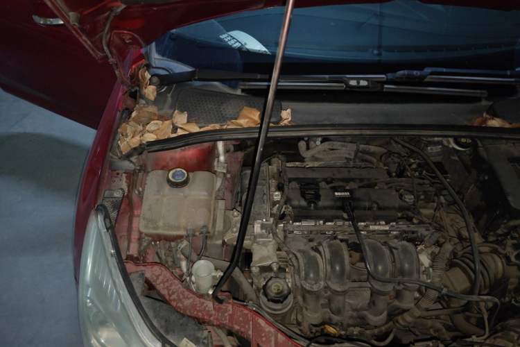 Used Ford Focus 2012 Hatchback 1.6L Automatic Comfort Model Engine Bay Right