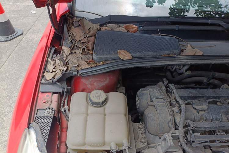 Used Ford Focus 2012 Hatchback 1.6L Automatic Comfort Model Engine Bay Right