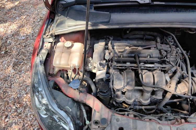 Used Ford Focus 2012 Hatchback 1.6L Automatic Fashion Edition Engine Bay Right