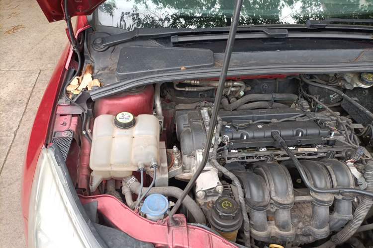 Used Ford Focus 2012 Hatchback 1.6L Automatic Fashion Edition Engine Bay Right