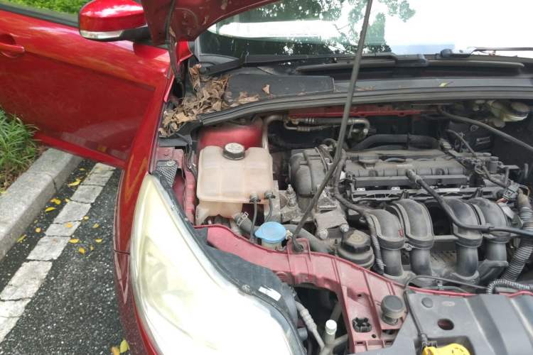 Used Ford Focus 2012 Hatchback 1.6L Automatic Fashion Edition Engine Bay Right