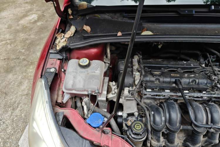Used Ford Focus 2012 Hatchback 1.6L Automatic Fashion Edition Engine Bay Right