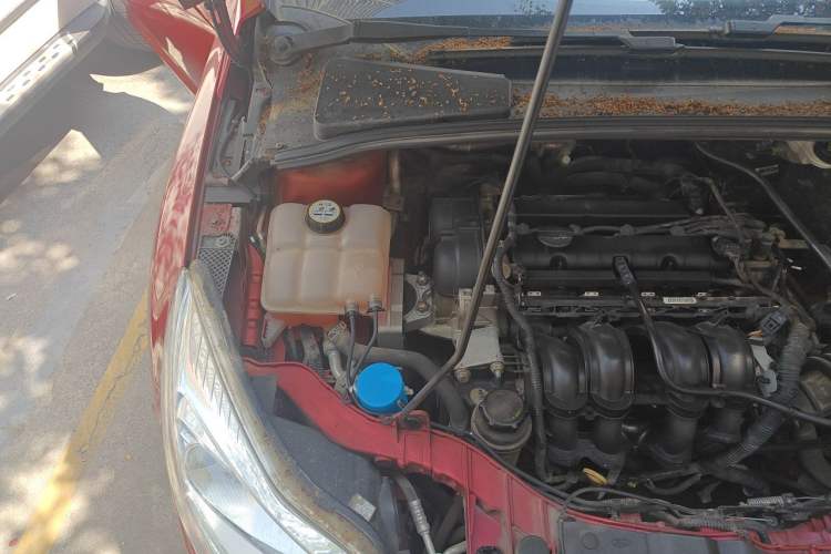 Used Ford Focus 2012 Hatchback 1.6L Automatic Fashion Edition Engine Bay Right