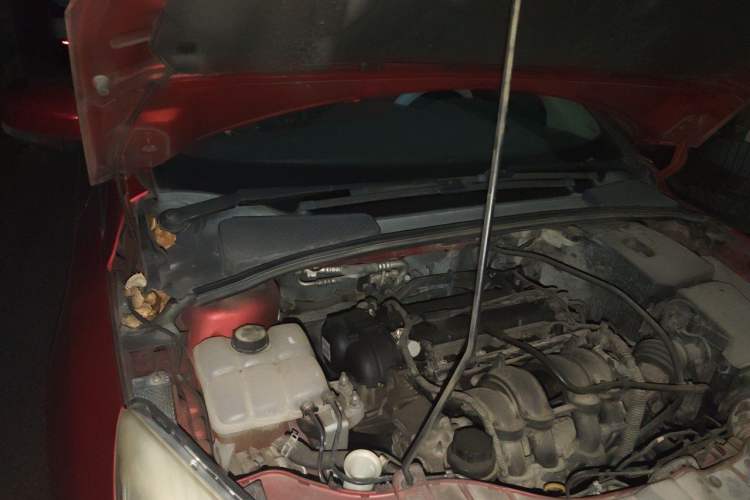 Used Ford Focus 2012 Sedan 1.6L Automatic Comfort Model Engine Bay Right