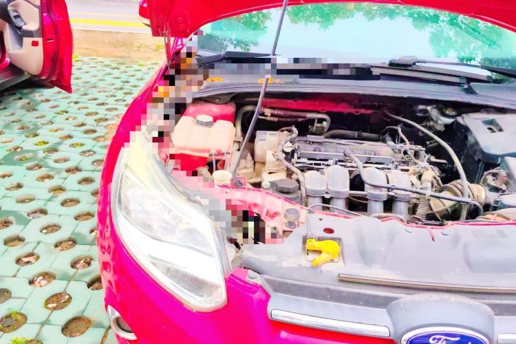 Used Ford Focus 2012 Hatchback 1.6L Automatic Fashion Edition Engine Bay Right