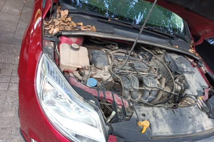 Used Ford Focus 2012 Hatchback 1.6L Automatic Fashion Edition Engine Bay Right