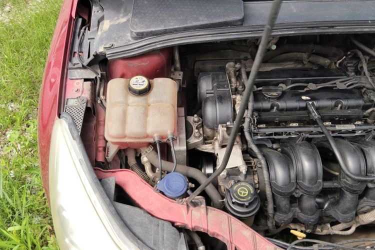 Used Ford Focus 2012 Hatchback 1.6L Automatic Fashion Edition Engine Bay Right