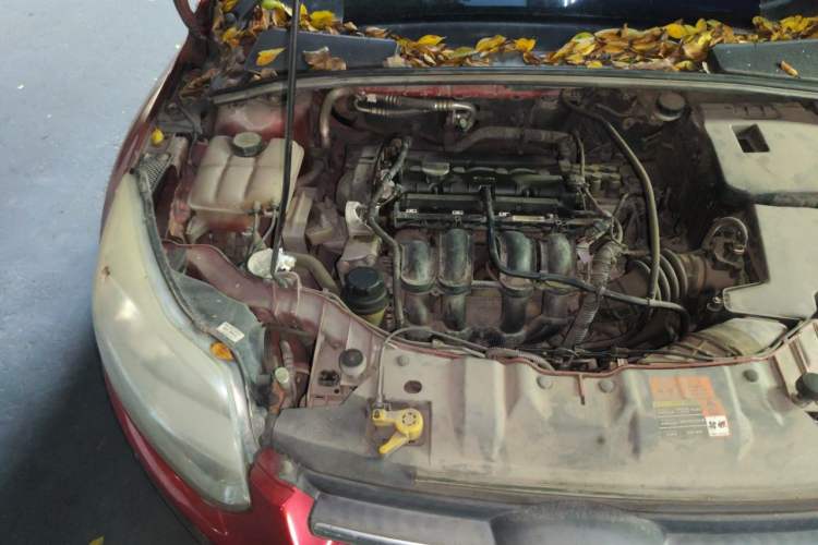 Used Ford Focus 2012 Sedan 1.6L Automatic Fashion Edition Engine Bay Right