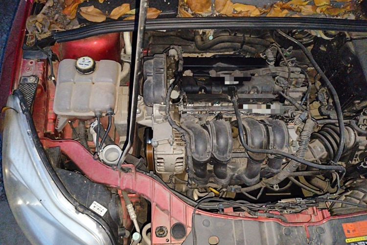 Used Ford Focus 2012 Sedan 1.6L Manual Fashion Edition Engine Bay Right