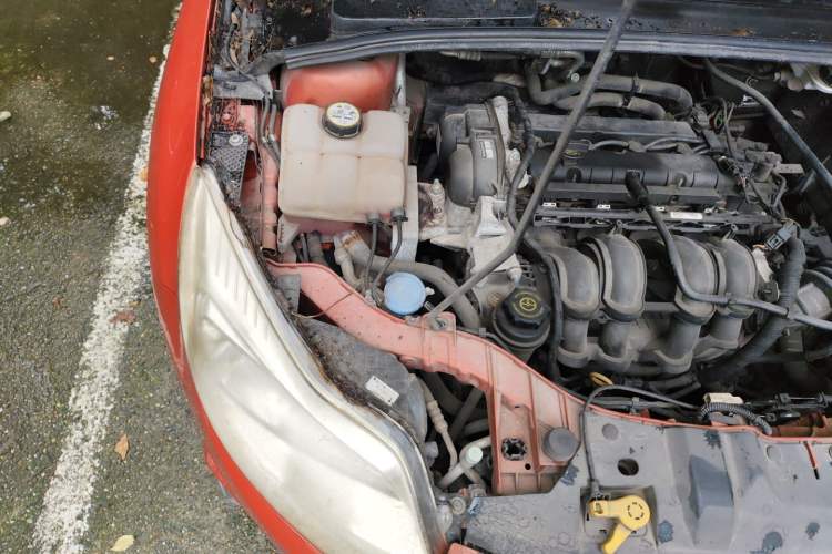 Used Ford Focus 2012 Hatchback 1.6L Automatic Fashion Edition Engine Bay Right