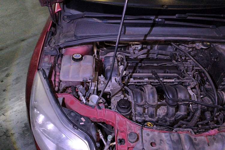 Used Ford Focus 2012 Sedan 1.6L Automatic Fashion Edition Engine Bay Right