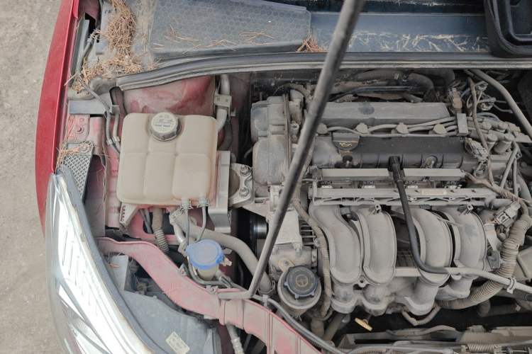 Used Ford Focus 2012 Hatchback 1.6L Automatic Comfort Model Engine Bay Right