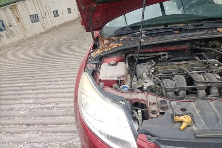 Used Ford Focus 2012 Hatchback 1.6L Automatic Comfort Model Engine Bay Right
