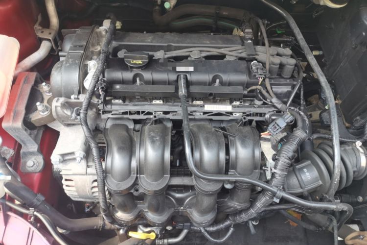 Used Ford Focus 2012 Sedan 1.6L Manual Comfort Model Engine Bay