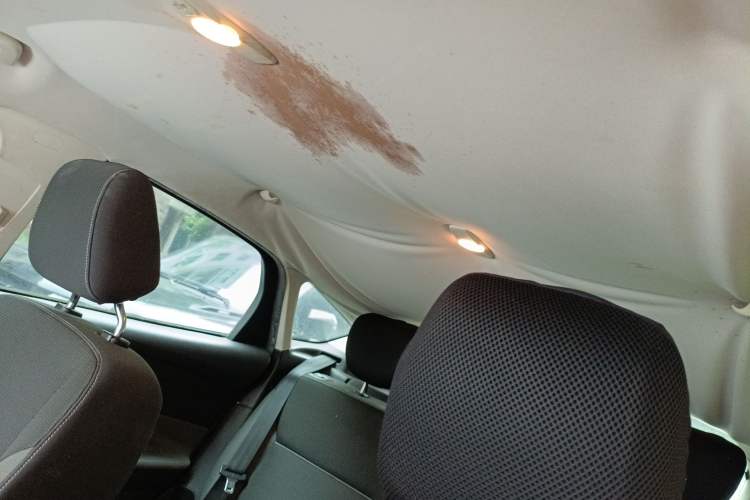 Used Ford Focus 2012 Hatchback 1.6L Manual Comfort Model Headliner