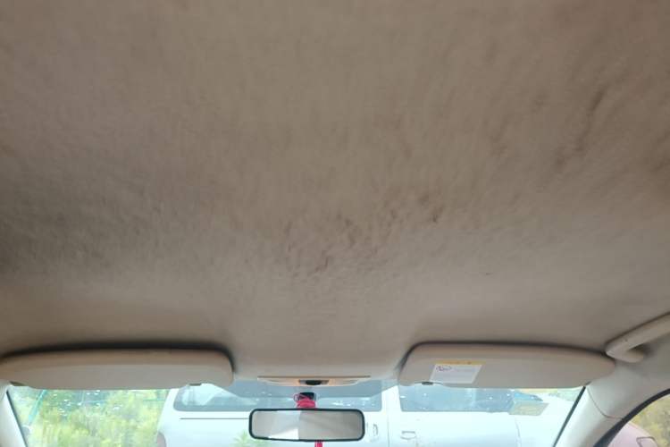 Used Ford Focus 2012 Sedan Classic 1.8L Manual Base Model Headliner