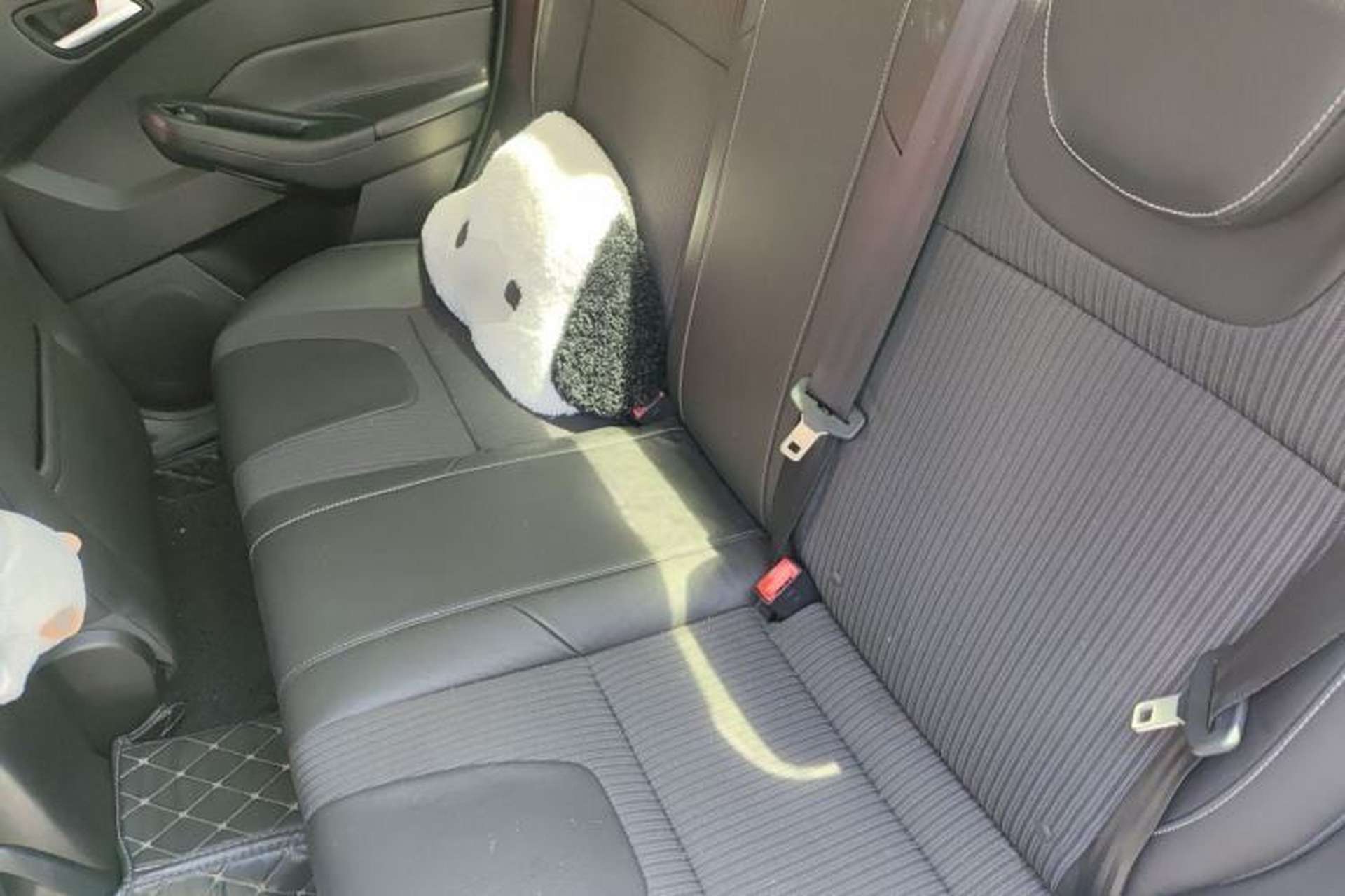 Used Ford Focus 2012 Sedan 1.6L Automatic Fashion Edition Left Rear Seat