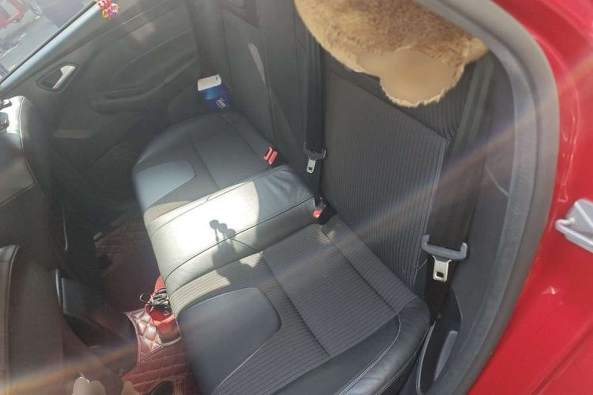 Used Ford Focus 2012 Hatchback 1.6L Automatic Fashion Edition Left Rear Seat