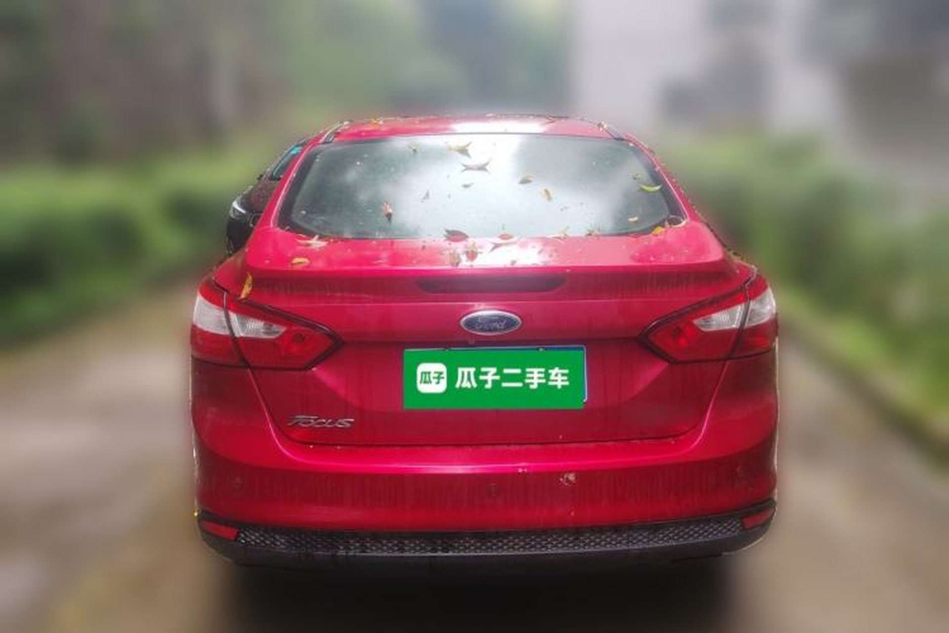 Used Ford Focus 2012 Sedan 1.6L Manual Fashion Edition Rear