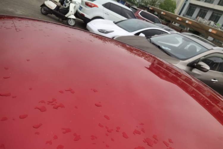 Used Ford Focus 2012 Sedan 1.6L Automatic Comfort Model Roof