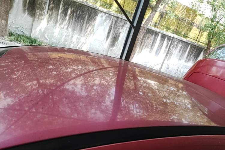 Used Ford Focus 2012 Hatchback 1.6L Automatic Comfort Model Roof