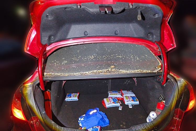 Used Ford Focus 2012 Sedan 1.6L Manual Fashion Edition Trunk