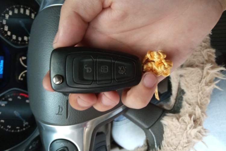 Used Ford Focus 2012 Hatchback 1.6L Automatic Fashion Edition Vehicle Key