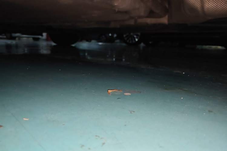 Used Ford Focus 2012 Sedan 1.6L Automatic Comfort Model Chassis Rear Left