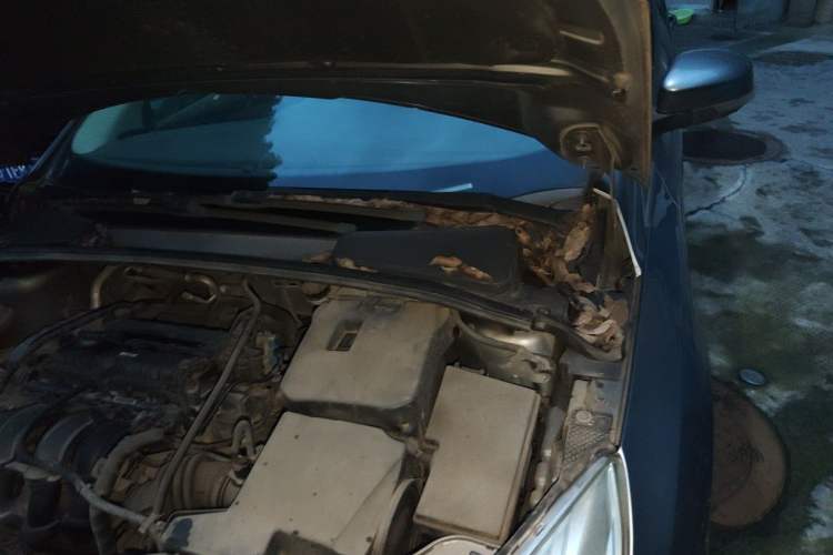 Used Ford Focus 2012 Sedan 1.6L Manual Comfort Model Engine Bay Left