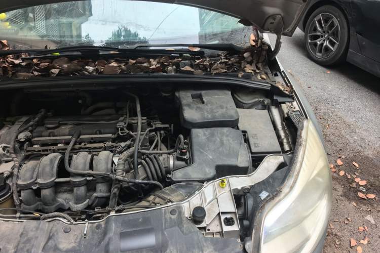 Used Ford Focus 2012 Hatchback 1.6L Automatic Comfort Model Engine Bay Left