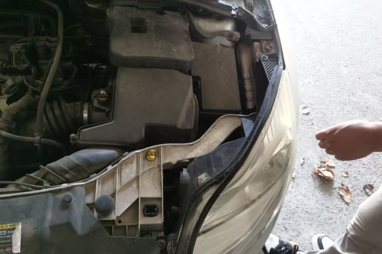 Used Ford Focus 2012 Sedan 1.6L Manual Comfort Model Engine Bay Left