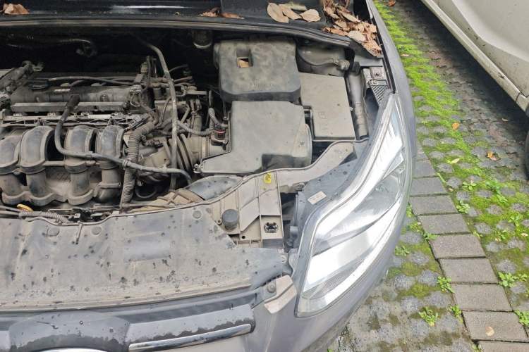 Used Ford Focus 2012 Sedan 1.6L Automatic Fashion Edition Engine Bay Left