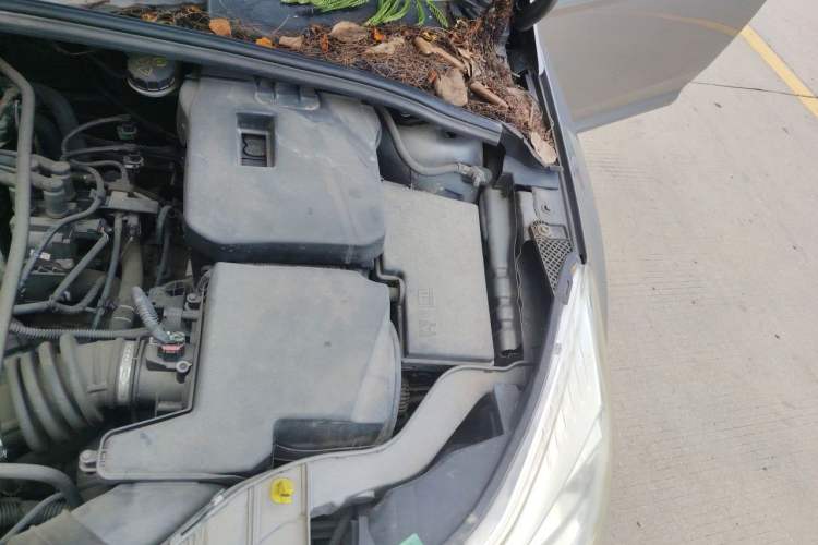 Used Ford Focus 2012 Hatchback 1.6L Automatic Comfort Model Engine Bay Left