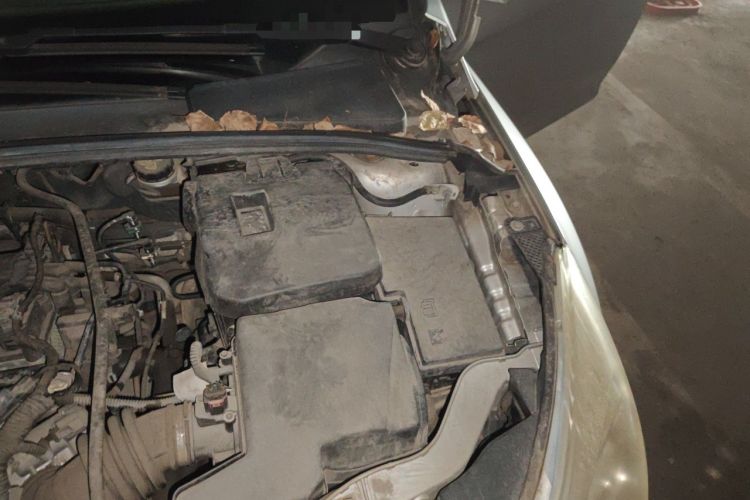 Used Ford Focus 2012 Hatchback 1.6L Manual Fashion Edition Engine Bay Left