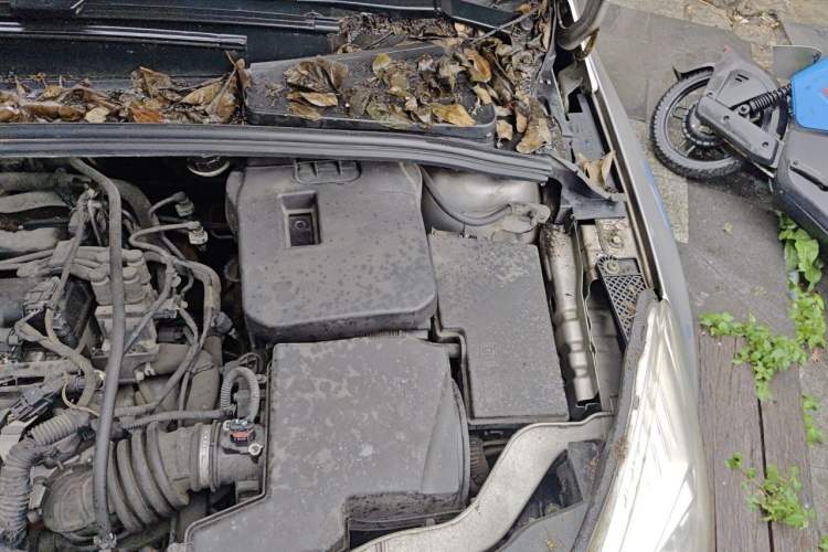 Used Ford Focus 2012 Sedan 1.6L Manual Fashion Edition Engine Bay Left