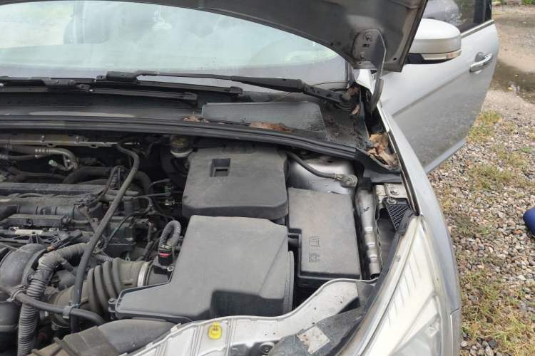 Used Ford Focus 2012 Sedan 1.6L Manual Comfort Model Engine Bay Left