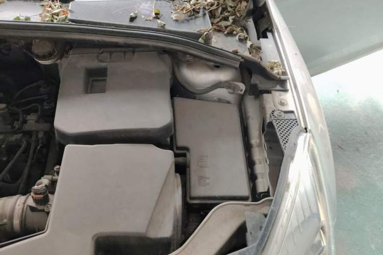 Used Ford Focus 2012 Hatchback 1.6L Automatic Comfort Model Engine Bay Left