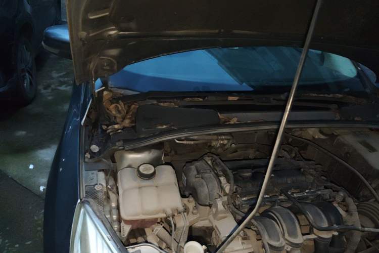 Used Ford Focus 2012 Sedan 1.6L Manual Comfort Model Engine Bay Right