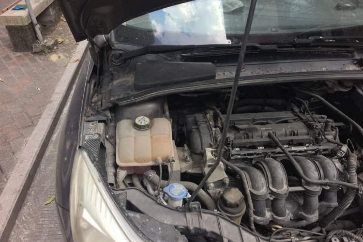 Used Ford Focus 2012 Sedan 1.6L Automatic Fashion Edition Engine Bay Right