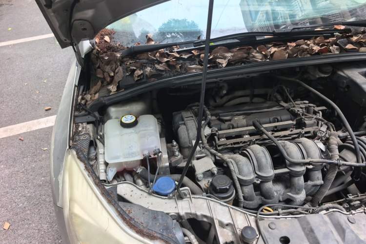 Used Ford Focus 2012 Hatchback 1.6L Automatic Comfort Model Engine Bay Right