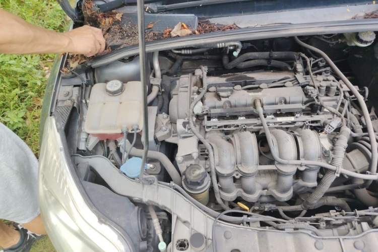 Used Ford Focus 2012 Hatchback 1.6L Automatic Comfort Model Engine Bay Right