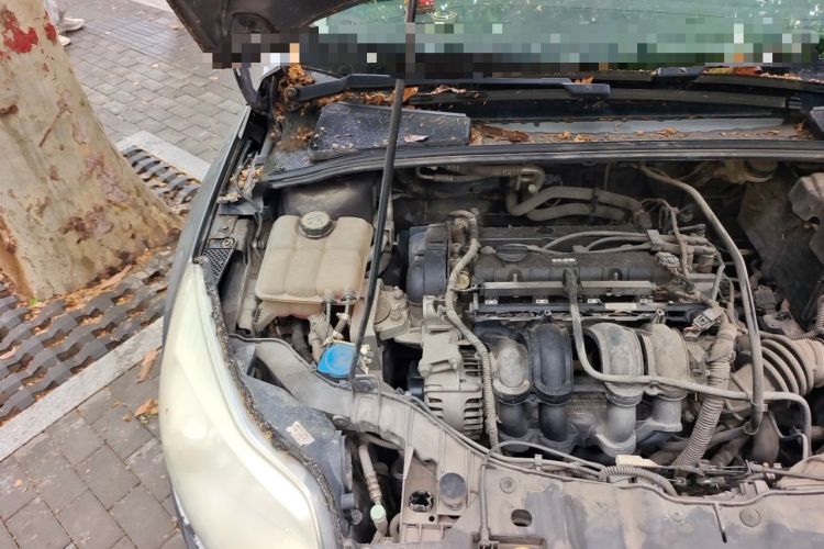 Used Ford Focus 2012 Sedan 1.6L Manual Comfort Model Engine Bay Right
