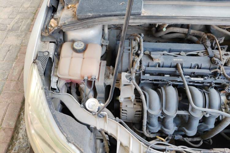 Used Ford Focus 2012 Sedan 1.6L Manual Comfort Model Engine Bay Right